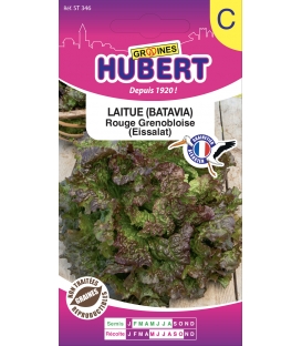 Batavia Rouge Grenobloise