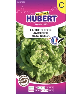 Laitue du Bon Jardinier