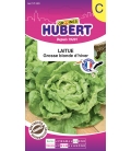 Laitue Grosse Blonde d'Hiver