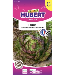 Graines de Laitue Merveille des 4 saisons