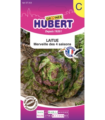 Laitue Merveille des 4 Saisons