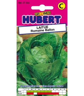 Laitue Romaine Ballon
