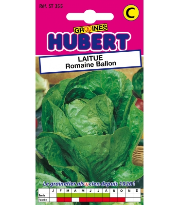Laitue Romaine Ballon