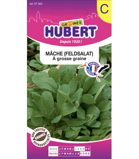 Mâche à Grosse Graine