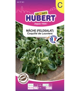 Mâche Coquille de Louviers