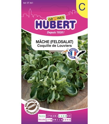 M&acirc;che Coquille de Louviers