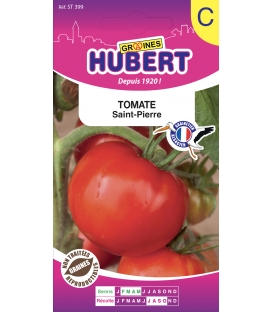 Tomate Saint-Pierre