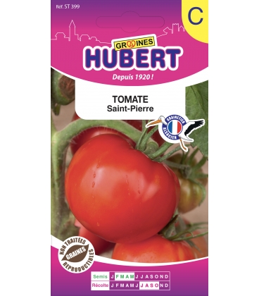 Tomate Saint-Pierre