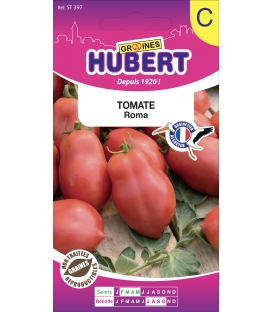 Tomate Roma