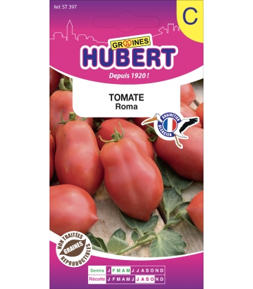 Tomate Roma