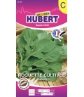 Graines de Roquette Cultivee (Rauke)
