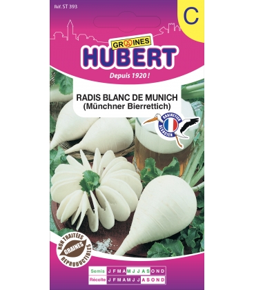 Radis de Munich "Bier Rettich"