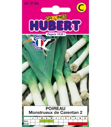 Poireau Monstrueux de Carentan 2