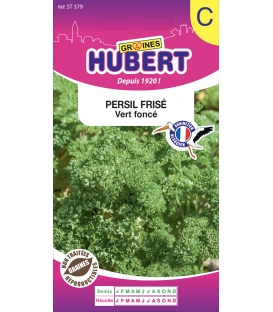 Persil Frisé Vert Foncé