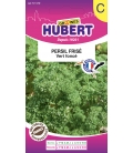 Persil Frisé Vert Foncé