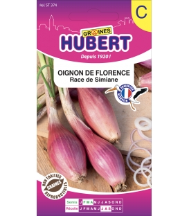Oignon de Florence - Simiane
