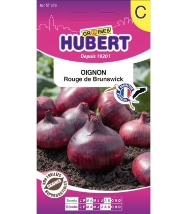 Oignon de Brunswick