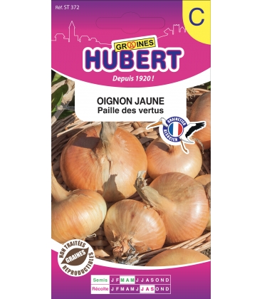 Oignon Paille des Vertus