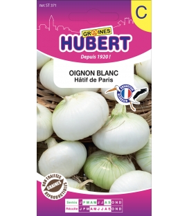 Oignon Hâtif de Paris