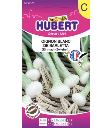 Oignon Tr&egrave;s H&acirc;tif de Barletta