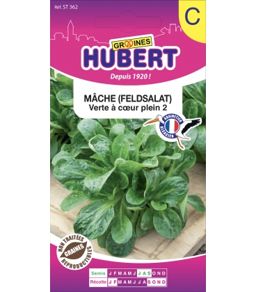 M&acirc;che Verte &agrave; Coeur Plein 2