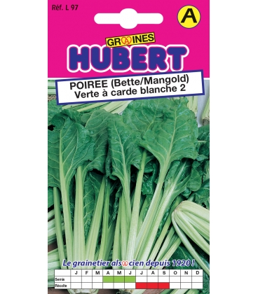 Poir&eacute;e Verte &agrave; Carde Blanche 2