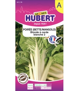 Poirée Blonde à Carde Blanche 2 "bette-mangold"