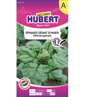 Epinard Géant d'hiver