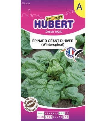 Epinard G&eacute;ant d'hiver