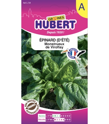 Epinard Monstrueux de Viroflay