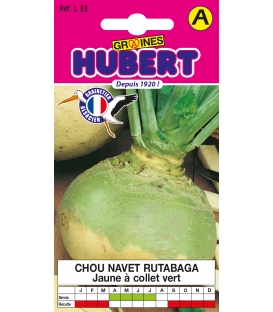 Chou Navet Rutabaga