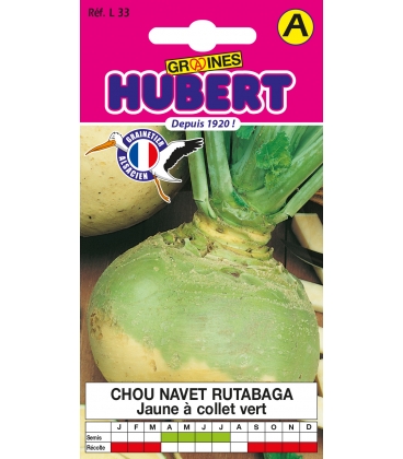 Chou Navet Rutabaga