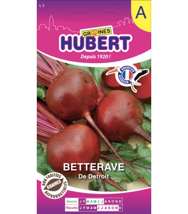 Betterave de D&eacute;troit Am&eacute;lior&eacute;e 2