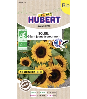 Soleil G&eacute;ant Simple Jaune d'Or &agrave; Coeur Noir BIO