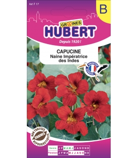 Capucine Naine Impératrice des Indes