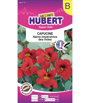 Capucine Naine Imp&eacute;ratrice des Indes