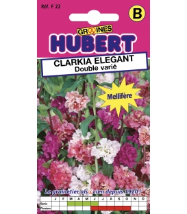 Clarkia El&eacute;gant Double Vari&eacute; &copy;Images prot&eacute;g&eacute;es t&eacute;l&eacute;chargement interdit !