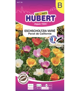 Eschscholtzia Varié - Pavot de Californie