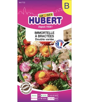 Immortelle &agrave; Bract&eacute;es Double Vari&eacute;e