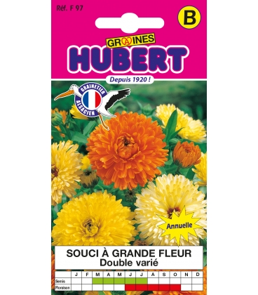 Soucis Double Calendula Vari&eacute;