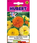 Soucis Double Calendula Varié