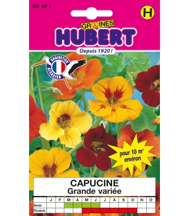 Capucine Grimpante Vari&eacute;e Format ECO