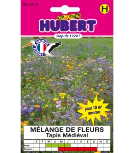 M&eacute;lange Tapis M&eacute;di&eacute;val - Format ECO