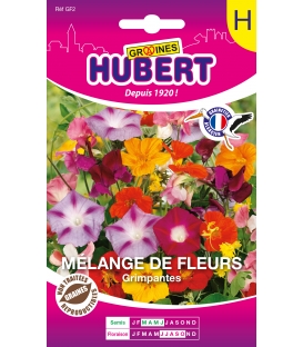 Fleurs Grimpantes en Mélange Format ECO