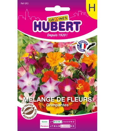 Fleurs Grimpantes en M&eacute;lange Format ECO