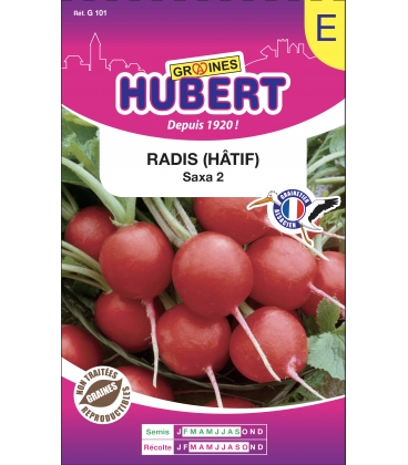 Radis Saxa 2 Rond Rouge Format ECO