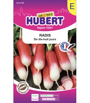 Radis de 18 jours Format ECO