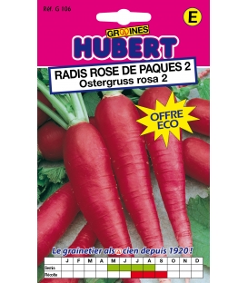 Radis Rose de Paques 2 "Ostergruss Rosa"