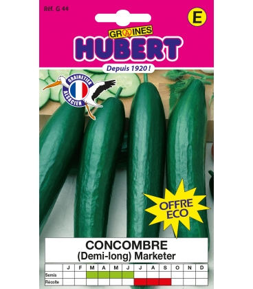 Concombre Marketer Format ECO