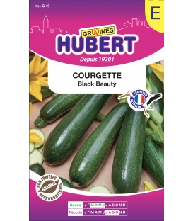 Courgette Black Beauty format ECO